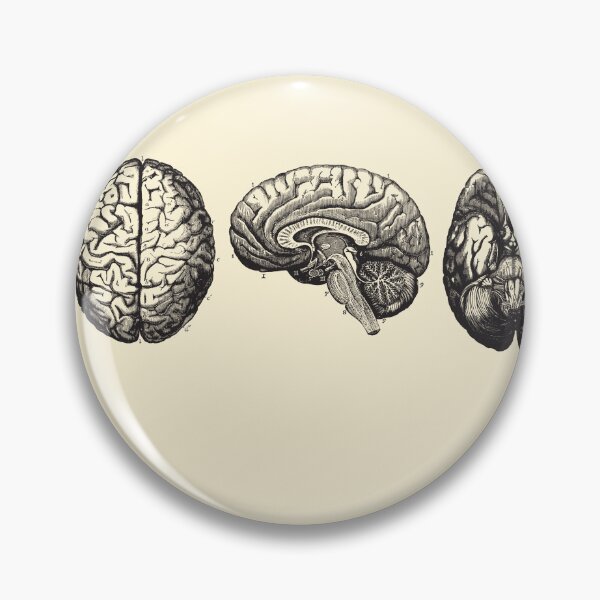 Item preview, Brain Diagram - Three Views - Vintage Anatomy designed and sold by Preslava Genova.