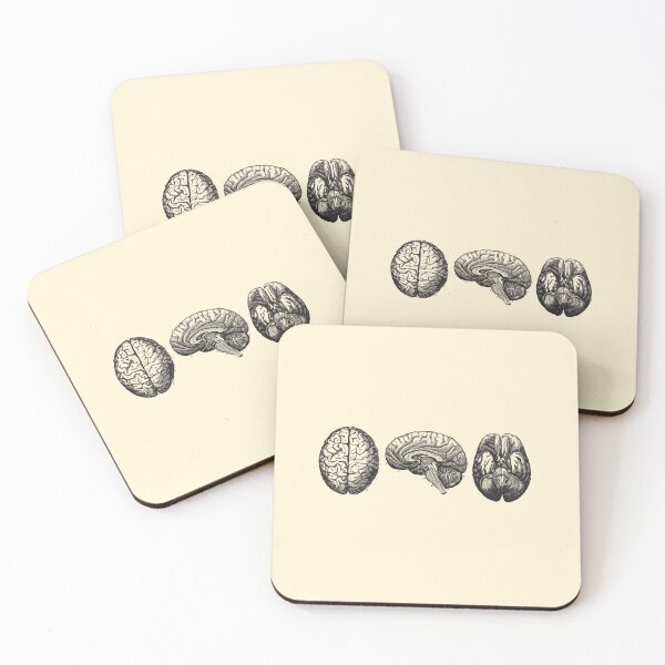 Item preview, Brain Diagram - Three Views - Vintage Anatomy designed and sold by Preslava Genova.