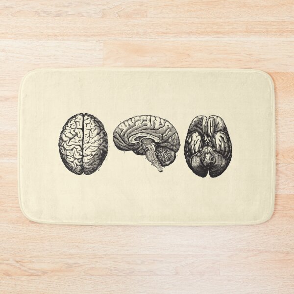 Item preview, Brain Diagram - Three Views - Vintage Anatomy designed and sold by Preslava Genova.