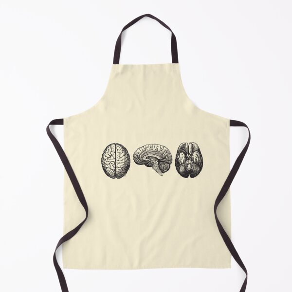 Item preview, Brain Diagram - Three Views - Vintage Anatomy designed and sold by Preslava Genova.