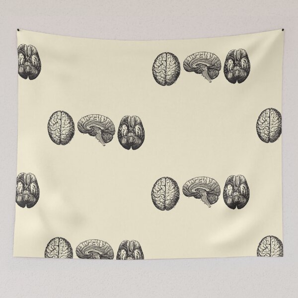Item preview, Brain Diagram - Three Views - Vintage Anatomy designed and sold by Preslava Genova.
