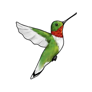 Artwork thumbnail, Hummingbird by Reeseworks