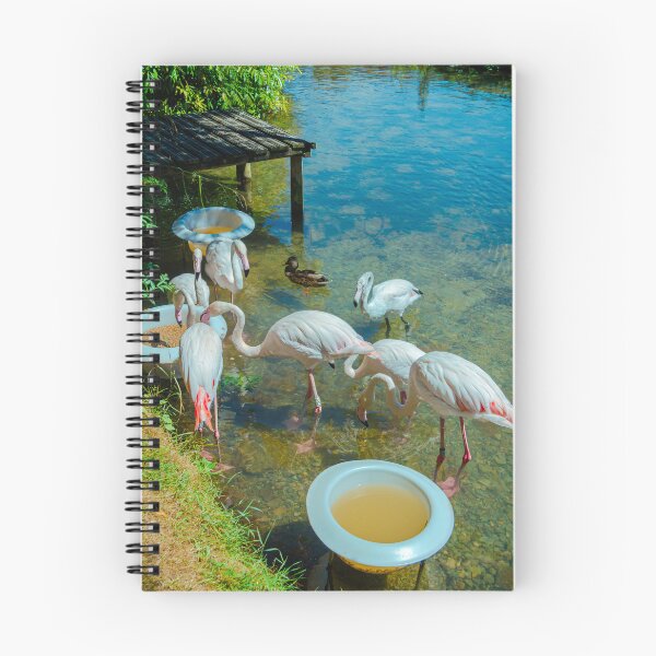 Item preview, Want To Be Friends? designed and sold by StephenRphoto.