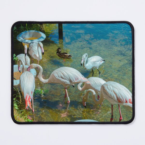 Item preview, Want To Be Friends? designed and sold by StephenRphoto.