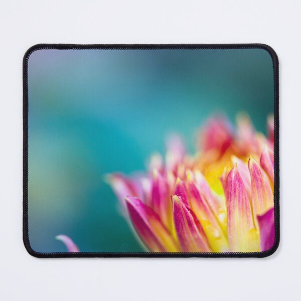 Item preview, Pink and Yellow Chrysanthemum Flower designed and sold by CyaniRose.