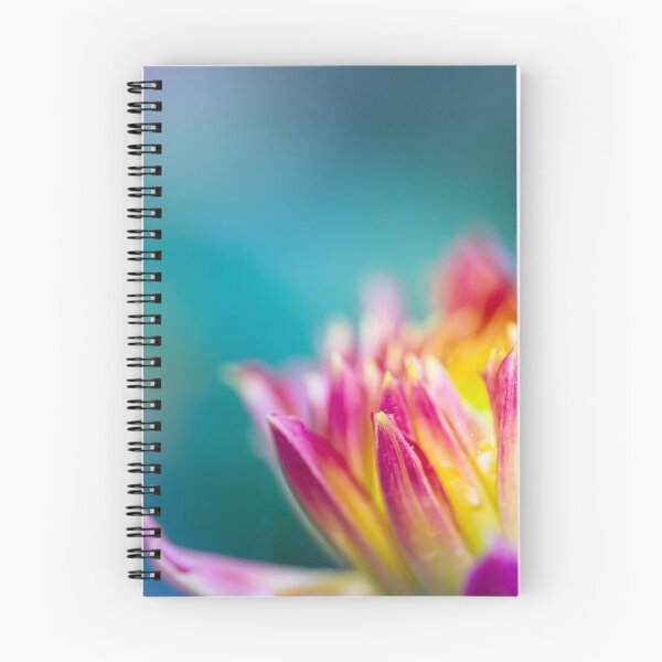 Item preview, Pink and Yellow Chrysanthemum Flower  designed and sold by CyaniRose.