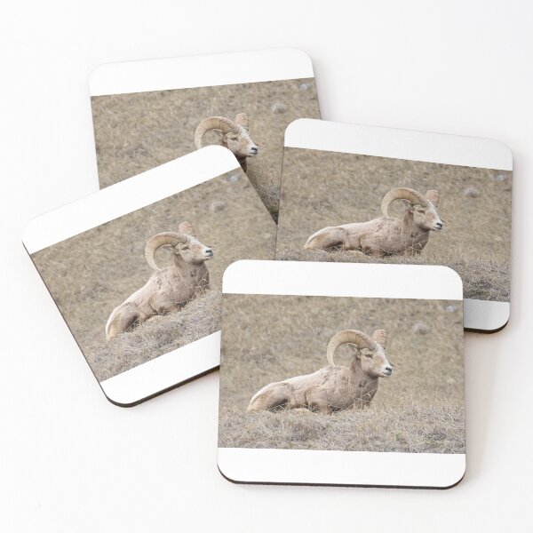 Item preview, Rocky Mountain Bighorn Sheep - RAM (Ovis canadensis) designed and sold by TCW Studios.