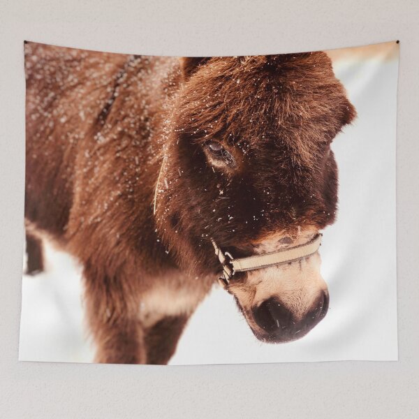 Item preview, ANIMALS #55 - Adorable Furry Burro designed and sold by DEL-Productions.