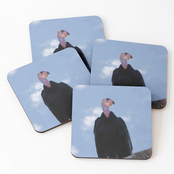 Item preview, I Am a Bald Bird designed and sold by heatherfriedman.