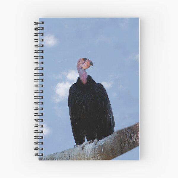 Item preview, I Am a Bald Bird designed and sold by heatherfriedman.