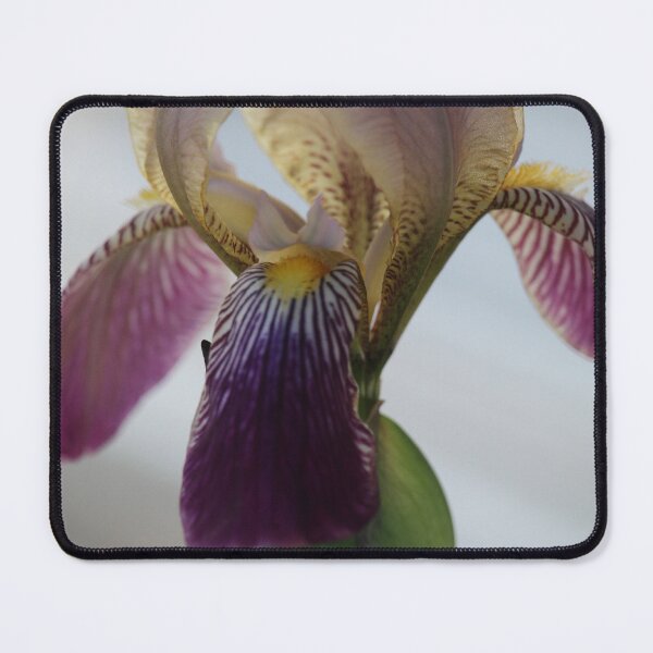 Item preview, IRIS designed and sold by Marie Leblanc.