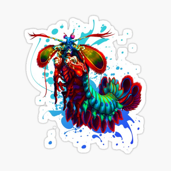 Item preview, Rainbow Peacock Mantis Shrimp Blue Splash designed and sold by OtillieArt.