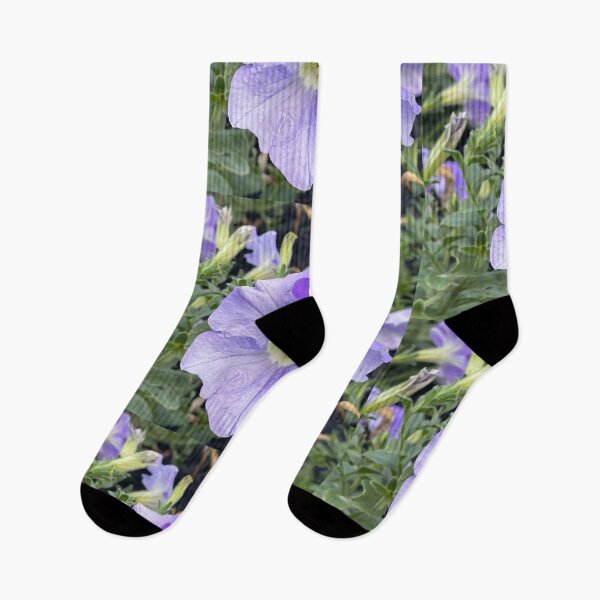 Item preview, Lavender flowers in Lake George designed and sold by stryderdk.