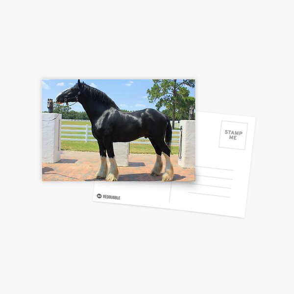 Item preview, Baron the Stallion designed and sold by AuntDot.
