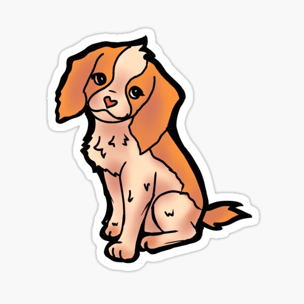 Battito Cardiaco Accelerato Nel Cane: Sintomi, Cause E Rimedi - Foto 7