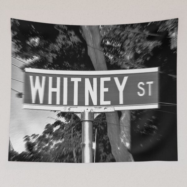 Item preview, A Street Sign Named Whitney  designed and sold by jcwest.