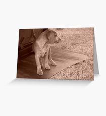 Playful Greeting Card