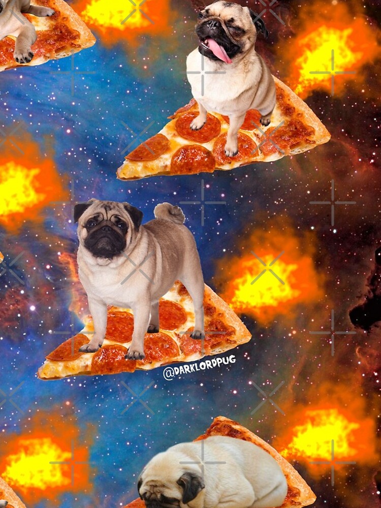 Pugs in Space Riding Pizza by darklordpug