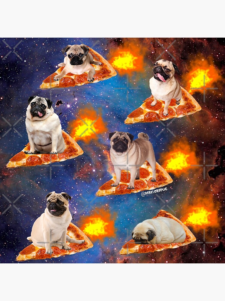 Pugs in Space Riding Pizza by darklordpug
