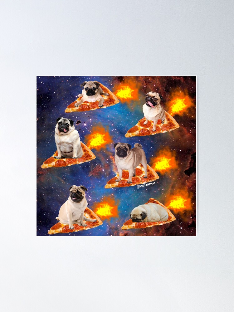 Alternate view of Pugs in Space Riding Pizza Poster