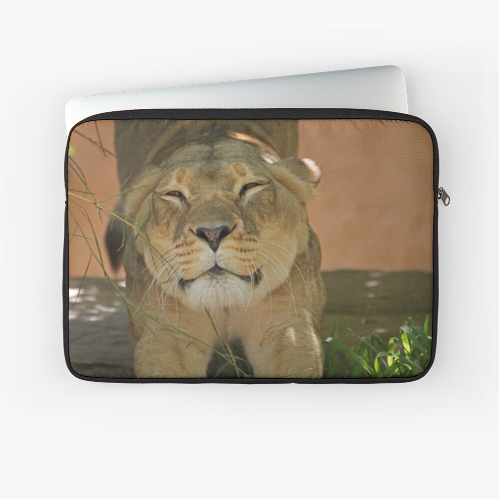 stretching Laptop Sleeve