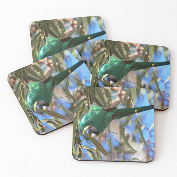 Item preview, Port Lincoln Parrot or Port Lincoln Ringneck designed and sold by Marilyn Harris.