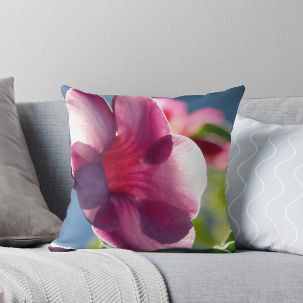 Item preview, flower in the morning sun - flor en la luz de la mañana designed and sold by Bernhard Matejka.