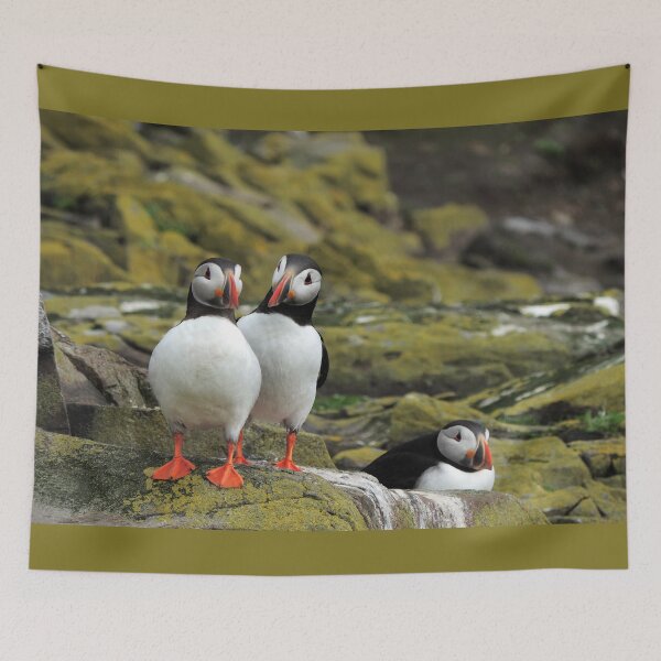 Item preview, Puffin Friends - The Farne Islands designed and sold by Marilyn Harris.