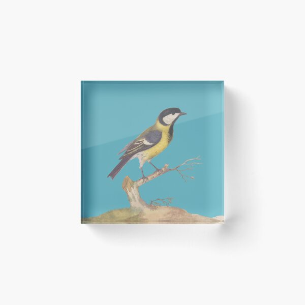 Item preview, Great Titmouse Bird with Blue  designed and sold by FlippinTurtles.