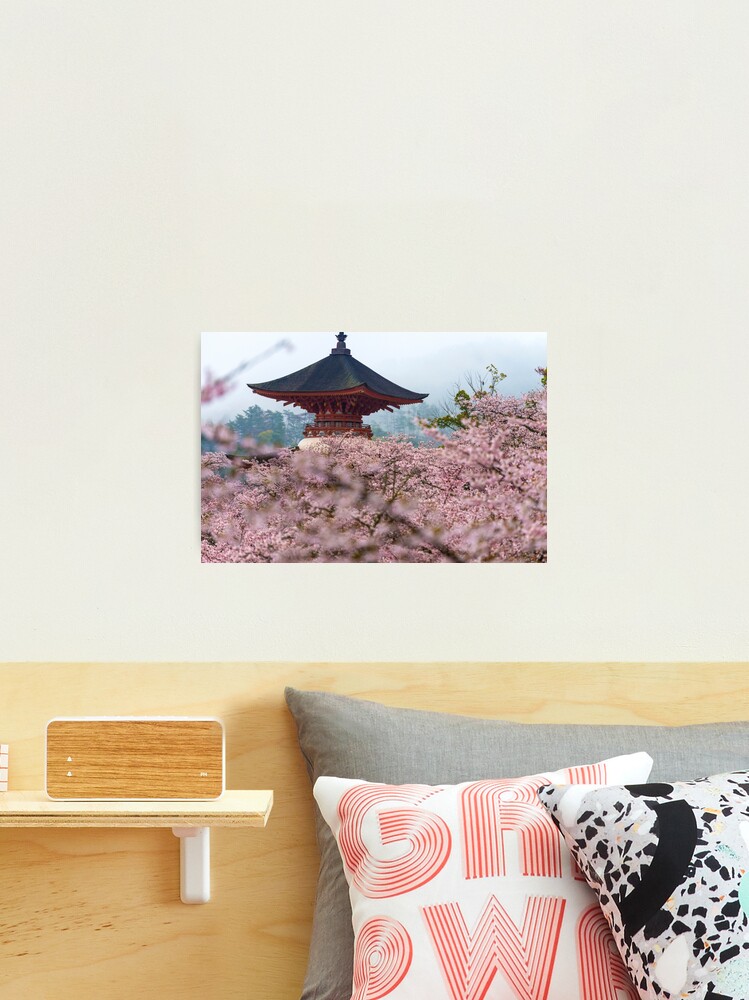 Thumbnail 1 of 3, Photographic Print, Japan Temple Cherry Blossoms designed and sold by AdrianAlford.
