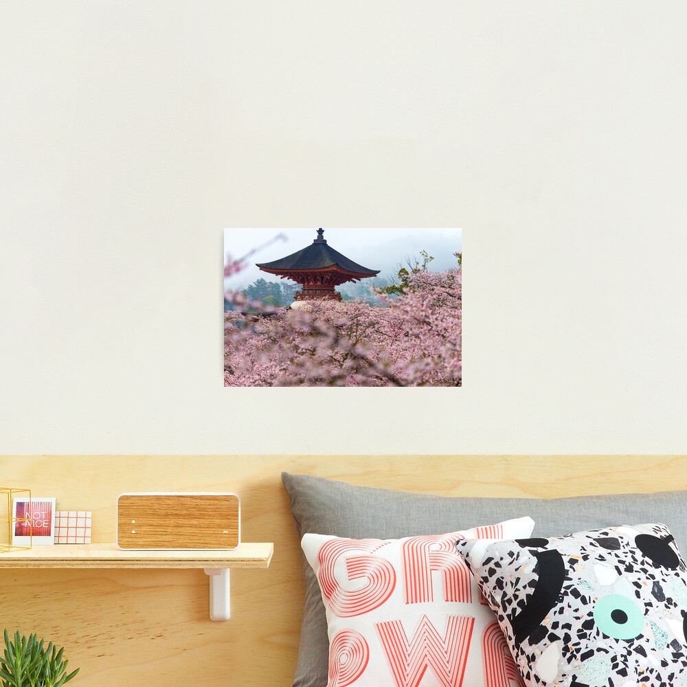 Japan Temple Cherry Blossoms Photographic Print