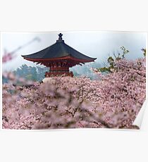 Japan Temple Cherry Blossoms Poster