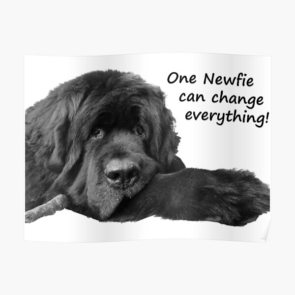 One Newfie Can Change Everything! Poster