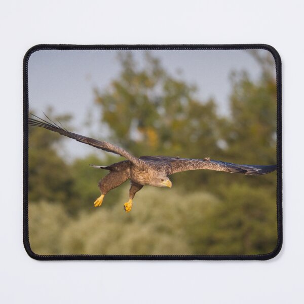Item preview, Incoming!  designed and sold by Dominika Aniola.