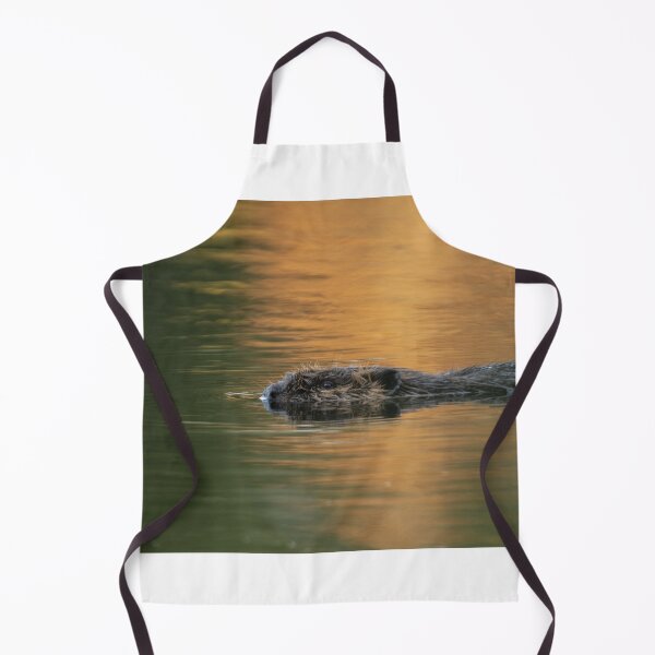 Item preview, Beaver Swimming with reflection of orange fall foliage. designed and sold by Steven Holt.