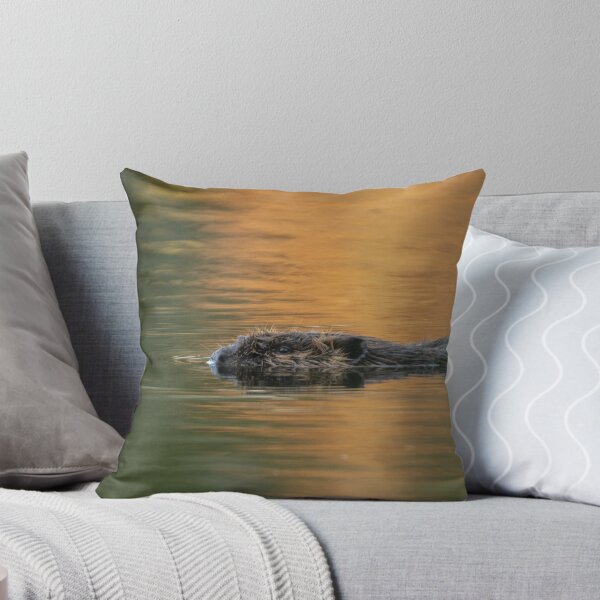 Item preview, Beaver Swimming with reflection of orange fall foliage.  designed and sold by Steven Holt.