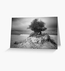 027 Clinging to life - Mono Greeting Card