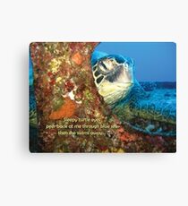 Sleepy Turtle Canvas Print