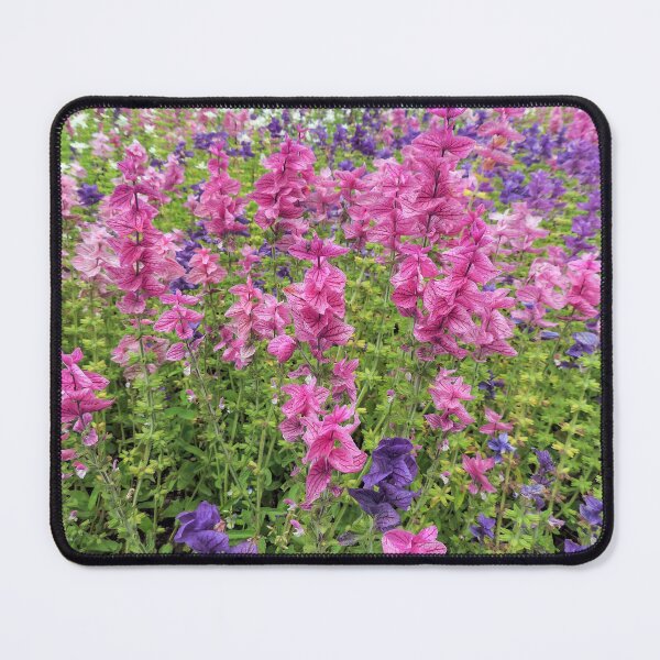 Item preview, Annual Clary Sage - (Salvia viridis) designed and sold by Marilyn Harris.