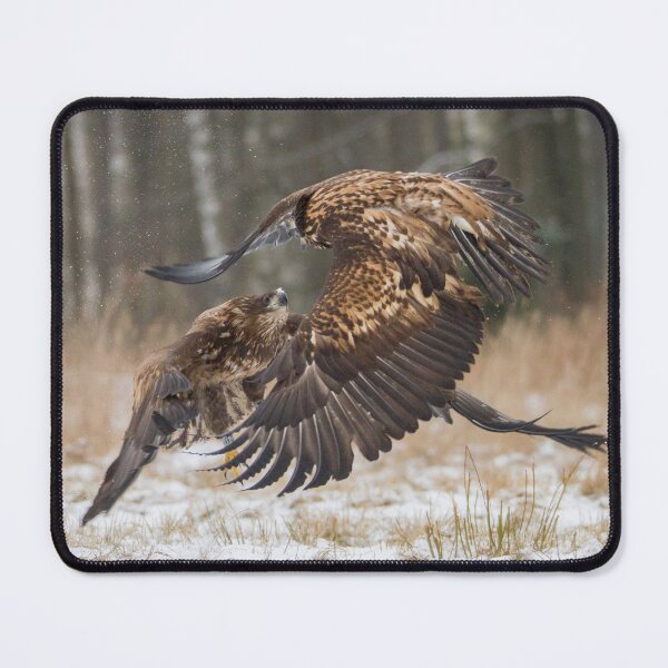 Item preview, Mid-air encounter designed and sold by Dominika Aniola.