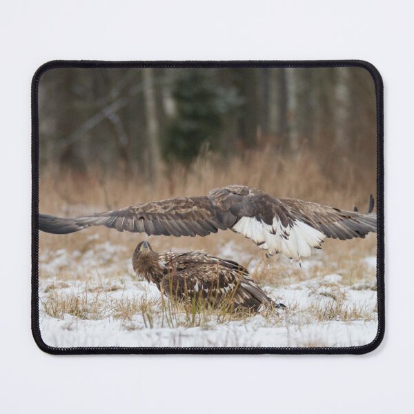 Item preview, Low gliding designed and sold by Dominika Aniola.