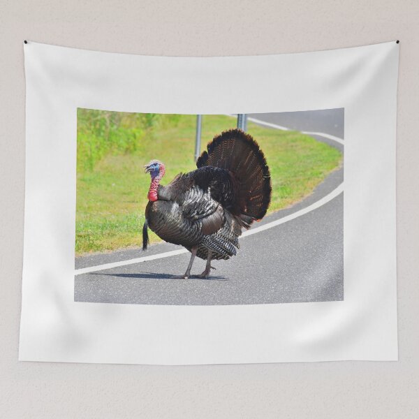Item preview, Caution Turkey Crossing  designed and sold by Lanis Rossi.