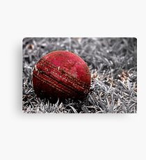 Having a ball Metal Print