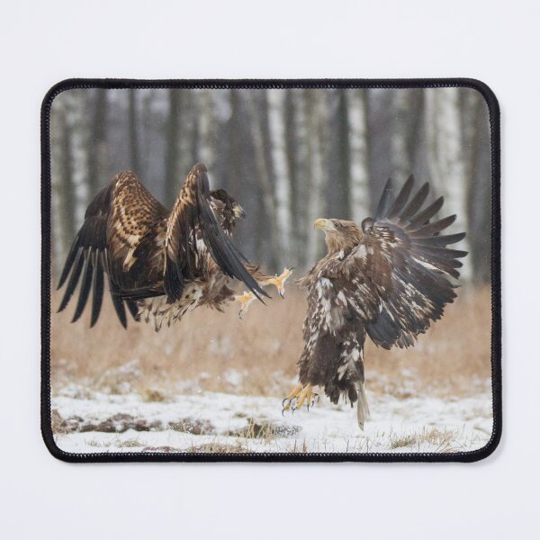 Item preview, White-Tailed Eagle fight designed and sold by Dominika Aniola.