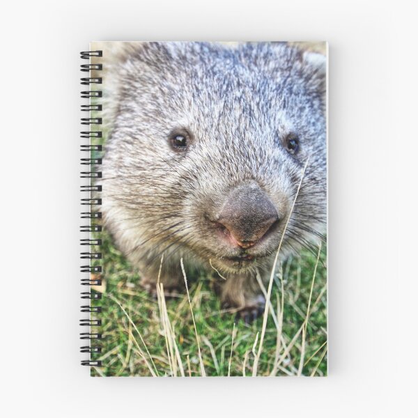 Item preview, Inquisitive. designed and sold by Ian Ramsay.