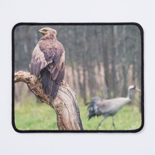 Item preview, Coexistence designed and sold by Dominika Aniola.
