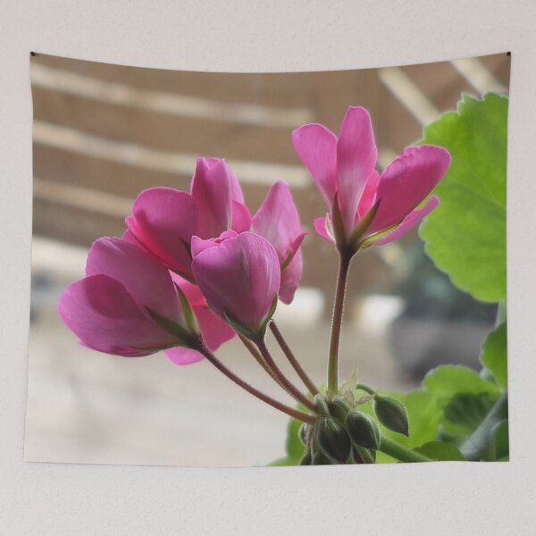 Item preview, Pink Geranium designed and sold by Barry W  King.