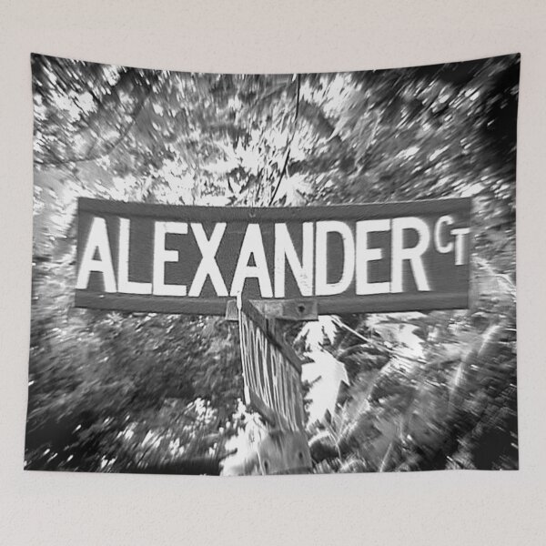 Item preview, A Street Sign Named Alexander designed and sold by jcwest.