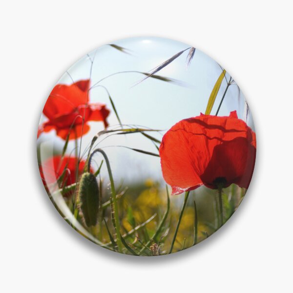 Item preview, Yorkshire Poppy's designed and sold by Dave Hare Photography.