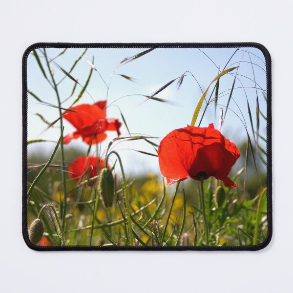 Item preview, Yorkshire Poppy's designed and sold by Dave Hare Photography.